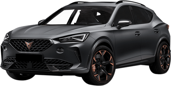 2.0 TSI 310hp