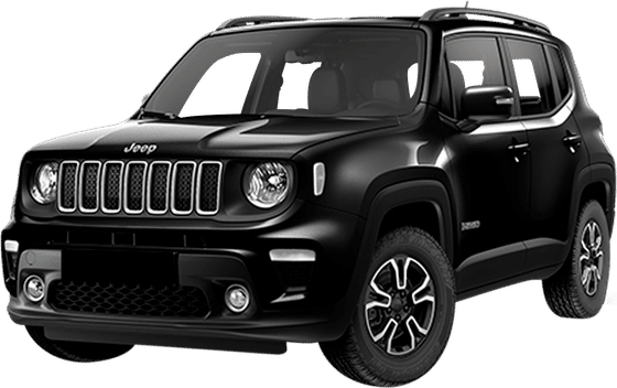 1.6 JTDm 115hp